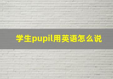 学生pupil用英语怎么说