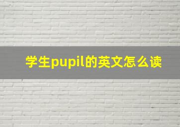 学生pupil的英文怎么读