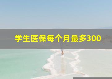 学生医保每个月最多300