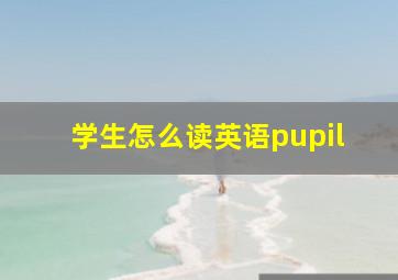 学生怎么读英语pupil