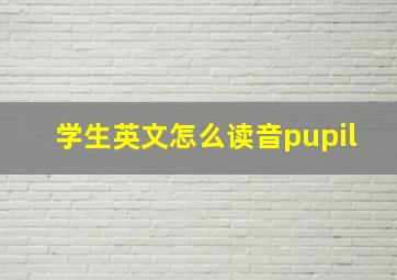 学生英文怎么读音pupil