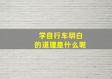 学自行车明白的道理是什么呢