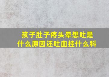 孩子肚子疼头晕想吐是什么原因还吐血挂什么科