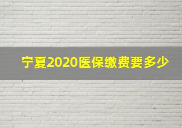 宁夏2020医保缴费要多少