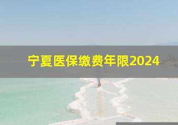 宁夏医保缴费年限2024