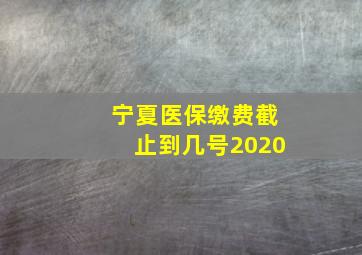 宁夏医保缴费截止到几号2020