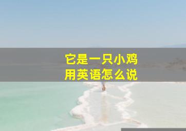 它是一只小鸡用英语怎么说