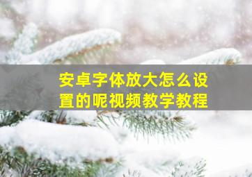 安卓字体放大怎么设置的呢视频教学教程