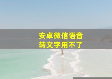 安卓微信语音转文字用不了