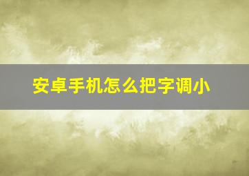 安卓手机怎么把字调小