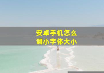 安卓手机怎么调小字体大小