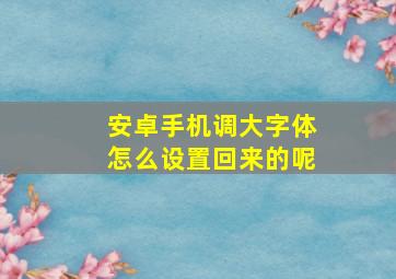 安卓手机调大字体怎么设置回来的呢