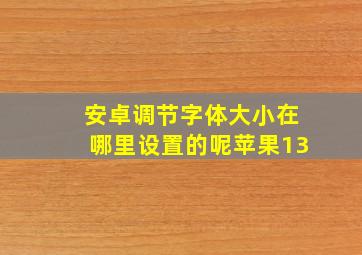 安卓调节字体大小在哪里设置的呢苹果13