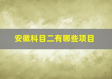 安徽科目二有哪些项目