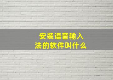 安装语音输入法的软件叫什么