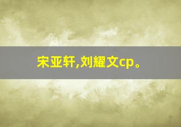 宋亚轩,刘耀文cp。