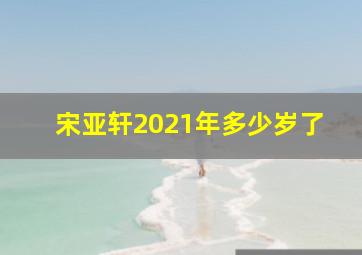 宋亚轩2021年多少岁了