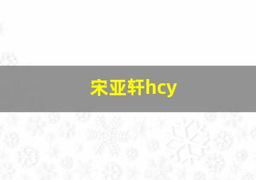 宋亚轩hcy