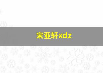 宋亚轩xdz