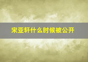 宋亚轩什么时候被公开