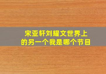 宋亚轩刘耀文世界上的另一个我是哪个节目