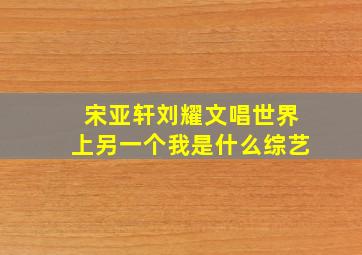 宋亚轩刘耀文唱世界上另一个我是什么综艺