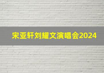 宋亚轩刘耀文演唱会2024