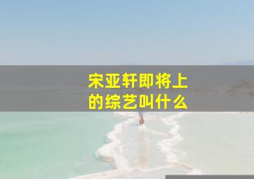 宋亚轩即将上的综艺叫什么