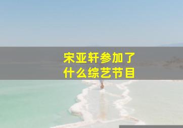 宋亚轩参加了什么综艺节目