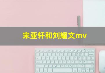 宋亚轩和刘耀文mv