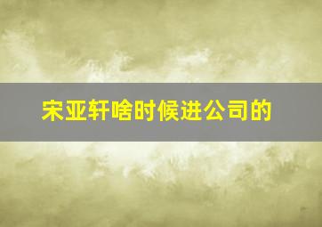 宋亚轩啥时候进公司的