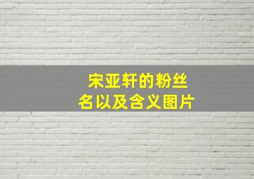 宋亚轩的粉丝名以及含义图片