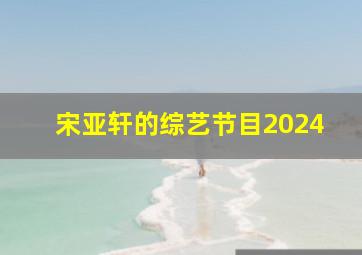 宋亚轩的综艺节目2024