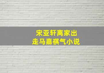 宋亚轩离家出走马嘉祺气小说