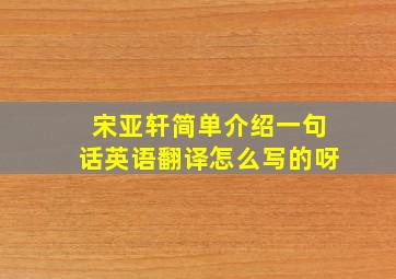 宋亚轩简单介绍一句话英语翻译怎么写的呀