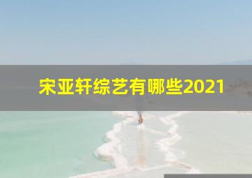 宋亚轩综艺有哪些2021