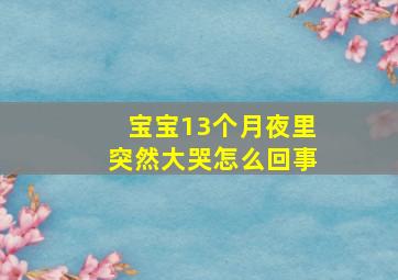 宝宝13个月夜里突然大哭怎么回事