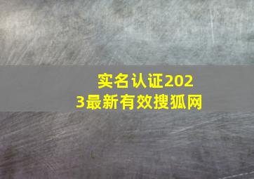 实名认证2023最新有效搜狐网