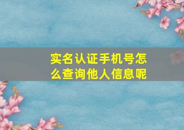 实名认证手机号怎么查询他人信息呢