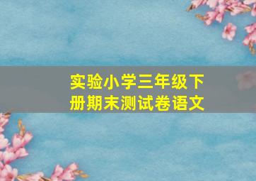 实验小学三年级下册期末测试卷语文