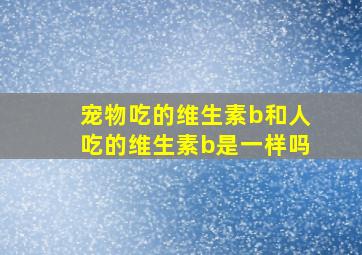 宠物吃的维生素b和人吃的维生素b是一样吗