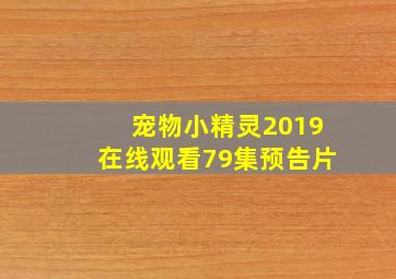 宠物小精灵2019在线观看79集预告片