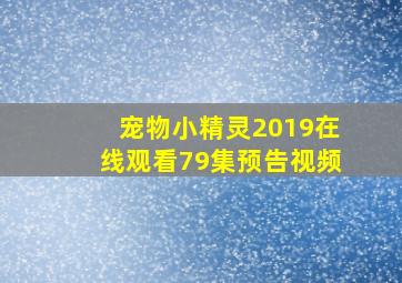 宠物小精灵2019在线观看79集预告视频