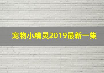 宠物小精灵2019最新一集