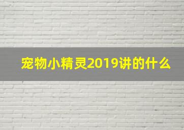 宠物小精灵2019讲的什么