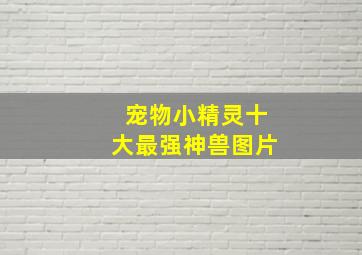 宠物小精灵十大最强神兽图片