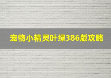 宠物小精灵叶绿386版攻略