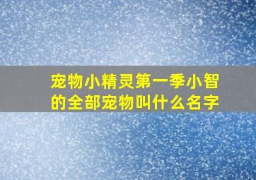 宠物小精灵第一季小智的全部宠物叫什么名字