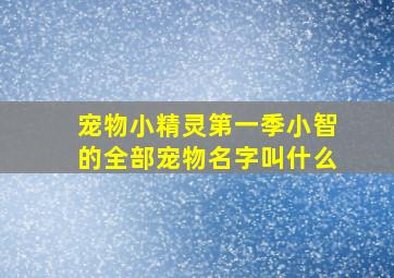 宠物小精灵第一季小智的全部宠物名字叫什么