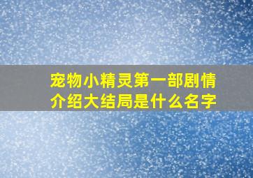 宠物小精灵第一部剧情介绍大结局是什么名字